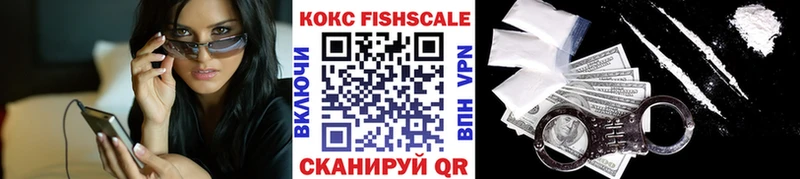 КОКАИН FishScale  MEGA ТОР  Новоалександровск  как найти наркотики 