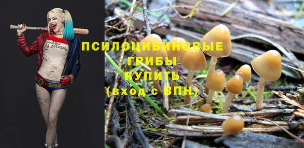 альфа пвп Михайлов