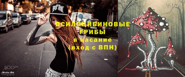 ECSTASY Сосновоборск