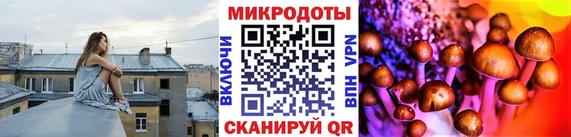 blacksprut ссылки  даркнет сайт  Новоалександровск  Галлюциногенные грибы MAGIC MUSHROOMS 