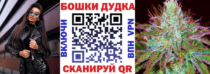 это формула  как найти закладки  Новоалександровск  Бошки Шишки White Widow 
