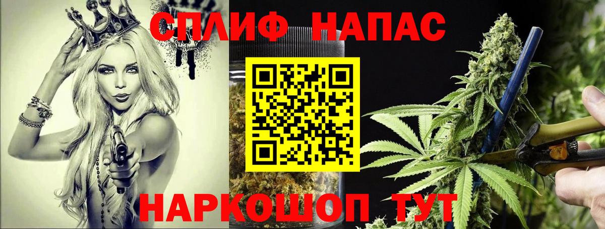 Конопля семена Новоалександровск