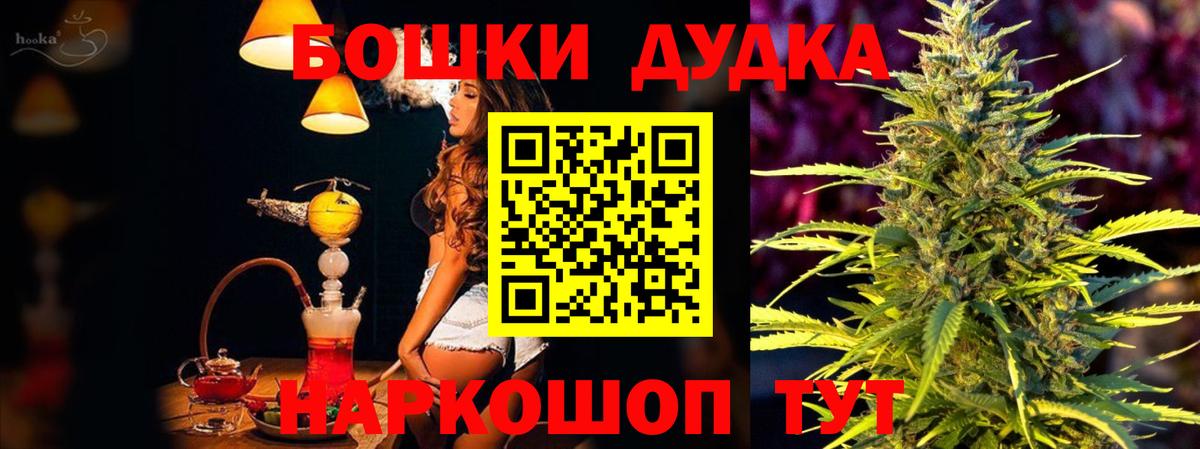 Мефедрон  Хэш  Мед  МАРИХУАНА  Купить наркотики цена  A PVP  Ляпка  MDMA  LSD-25  Новоалександровск  Вход с VPN  Масло THC  Кокаин 